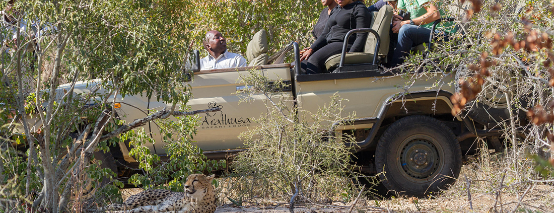 Arathusa Safari Lodge