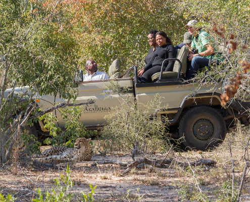 Arathusa Safari Lodge