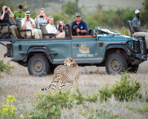 Leopard Hills Private Game Lodge