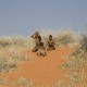 Kalahari - Namibia