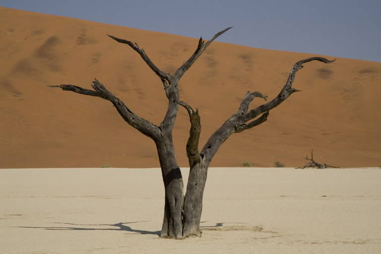Dead Vlei - Desierto del Namib