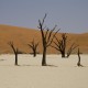 Dead Vlei - Desierto del Namib