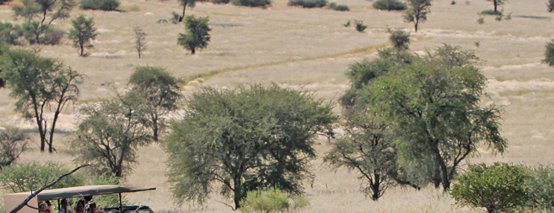 Suricate Kalahari Tented Lodge