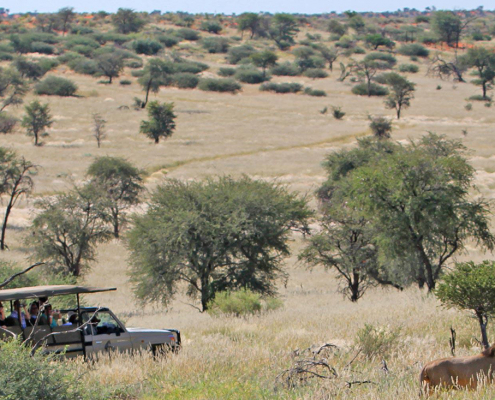 Suricate Kalahari Tented Lodge