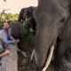 Abu Camp - Delta del Okavango