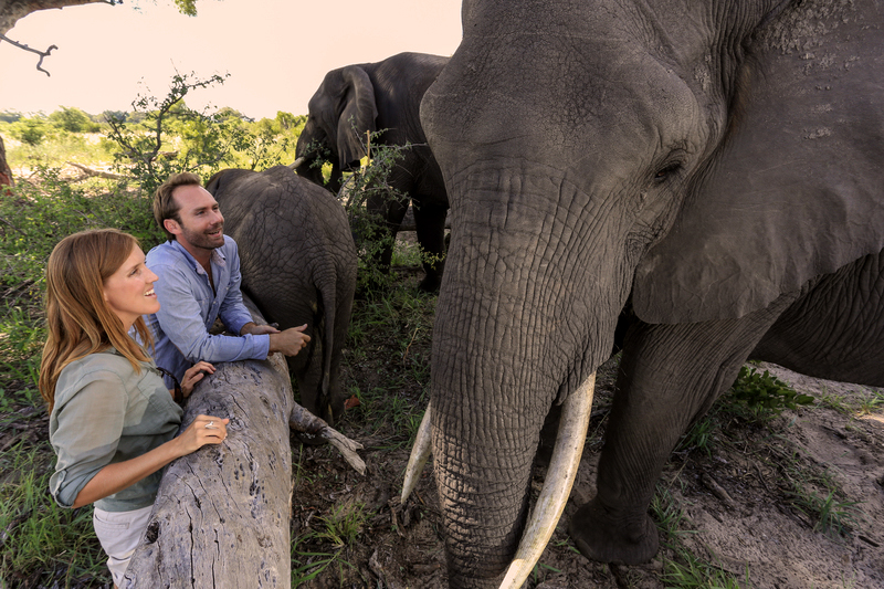 Abu Camp - Delta del Okavango