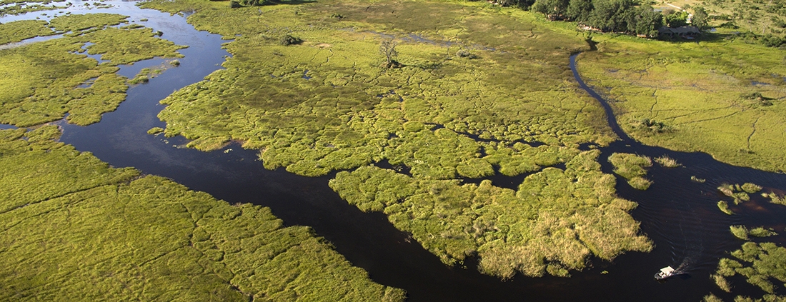 Duba Plains Camp en el Delta del Okavango
