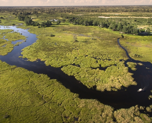 Duba Plains Camp en el Delta del Okavango