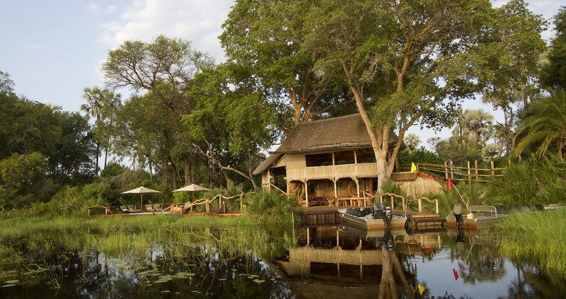 Jacana Camp - Delta del Okavango