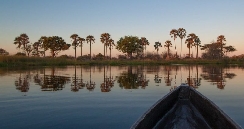 Moremi Crossing