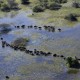 Vumbura Plains - Delta del Okavango