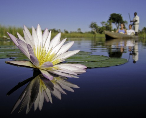 Xigera Camp - Delta del Okavango