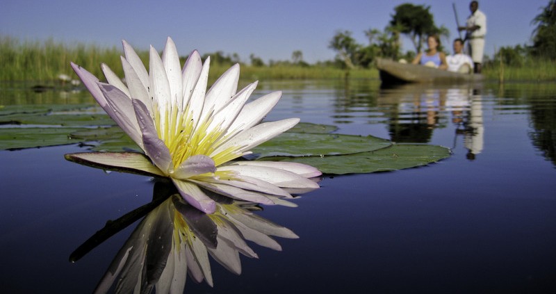 Xigera Camp - Delta del Okavango