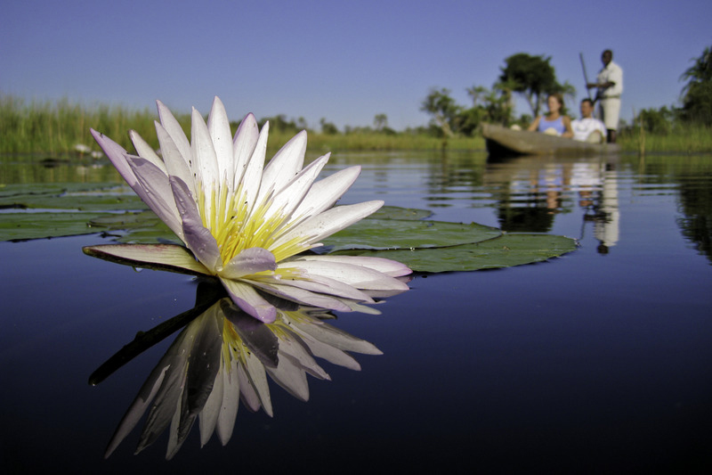 Xigera Camp - Delta del Okavango