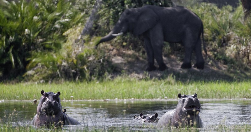 Xigera Camp - Delta del Okavango