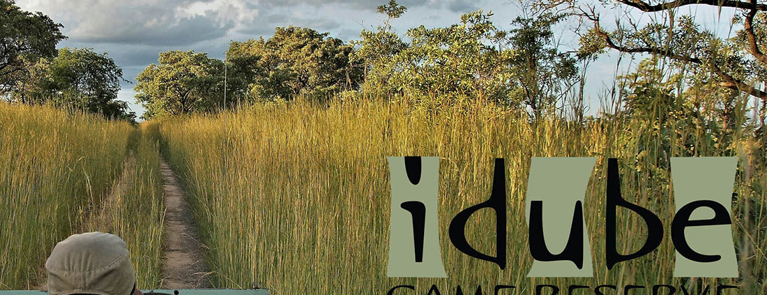 Idube Game Reserve
