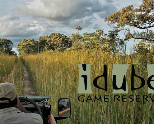 Idube Game Reserve