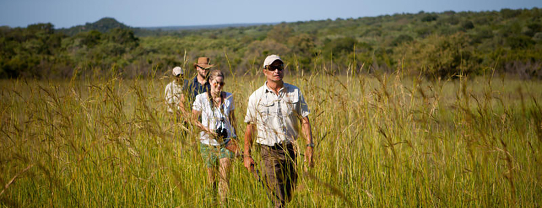 Ulusaba Safari Lodge