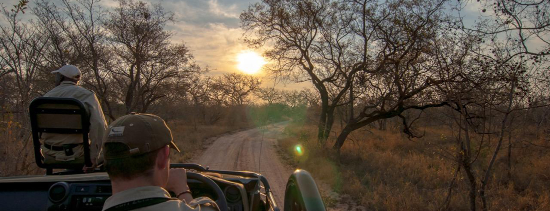 AndBeyond Ngala Safari Lodge