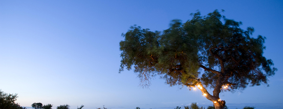 AndBeyond Ngala Safari Lodge