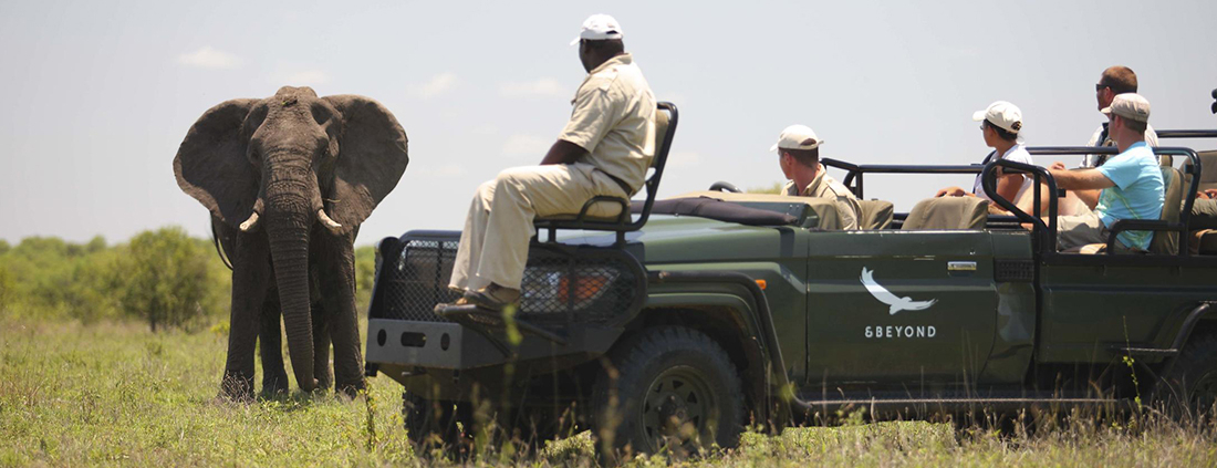 AndBeyond Ngala Safari Lodge
