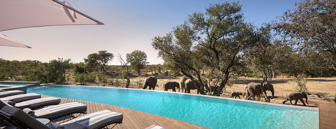 AndBeyond Ngala Safari Lodge AndBeyond Ngala Safari Lodge