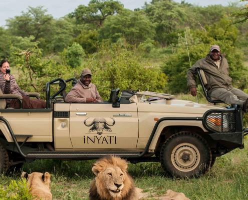 Inyati Game Lodge - Safari