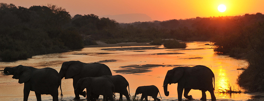 Inyati Game Lodge Inyati Game Lodge - Río Sand