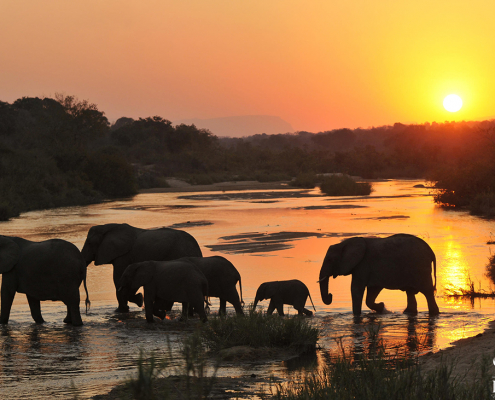 Inyati Game Lodge - Río Sand