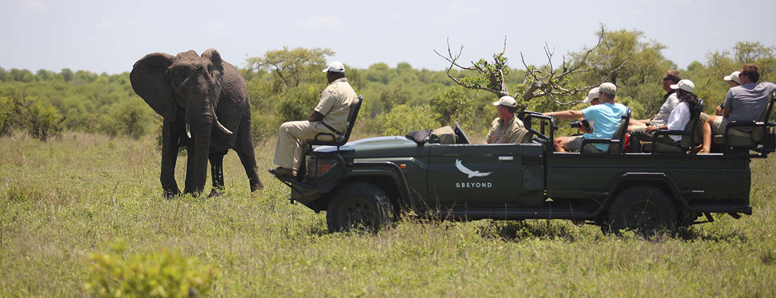 andBeyond Phinda Forest Lodge