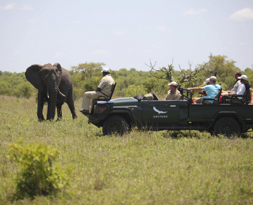 andBeyond Phinda Forest Lodge