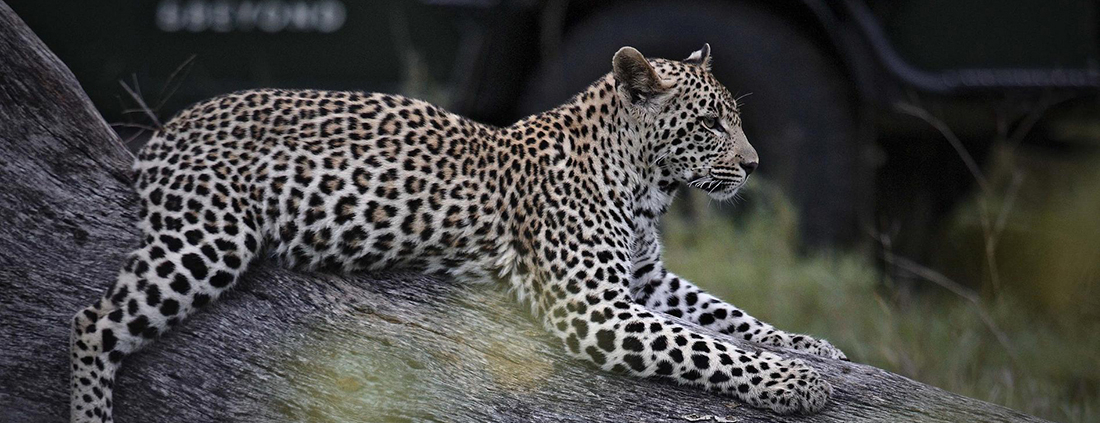 andBeyond Kirkman s Kamp