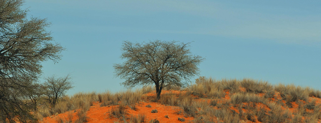 Kalahari Farmhouse