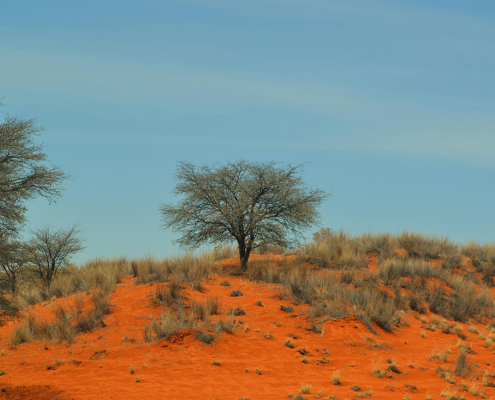 Kalahari Farmhouse