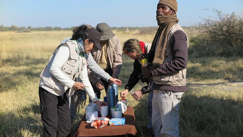 Campamento Mopane