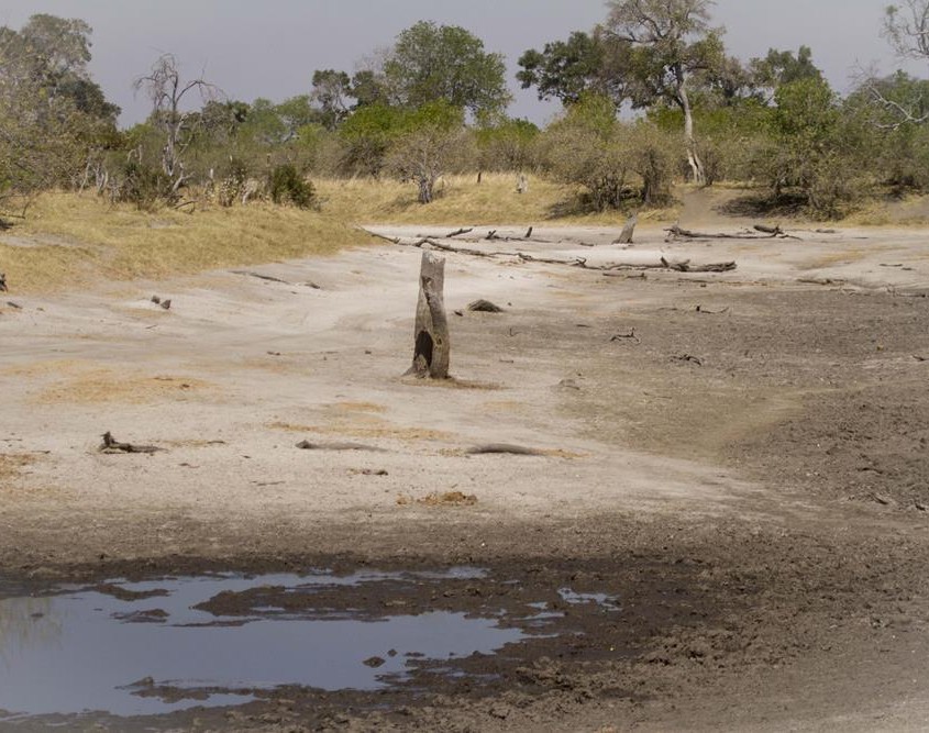 Canal de Savute - Ago 2015