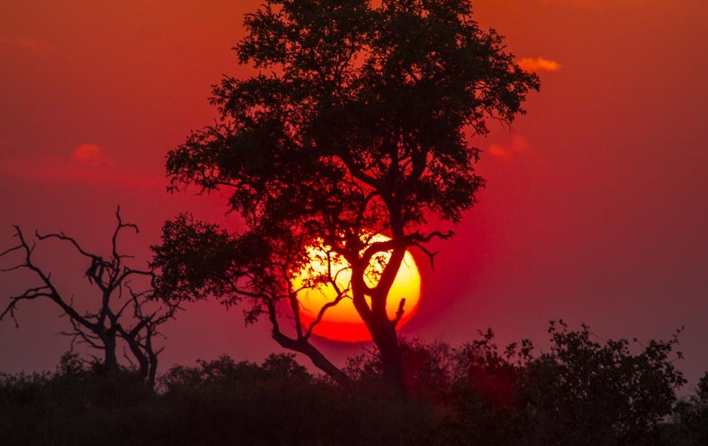 Campamentos Lujo Mopane