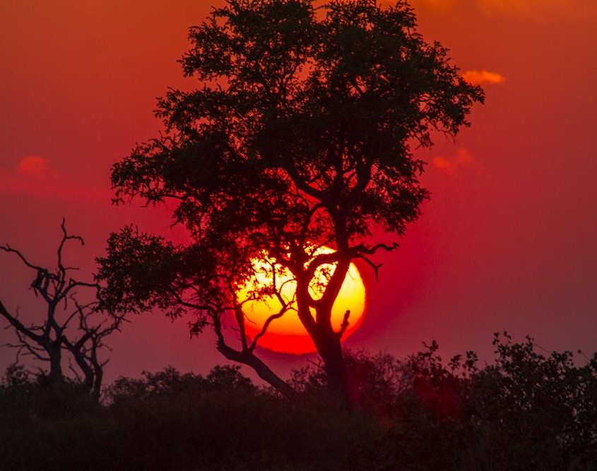 Campamentos Lujo Mopane