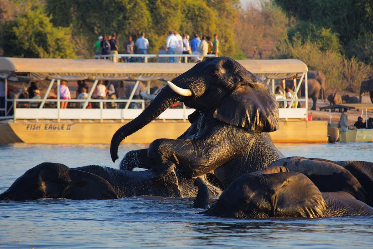 Chobe Safari Lodge