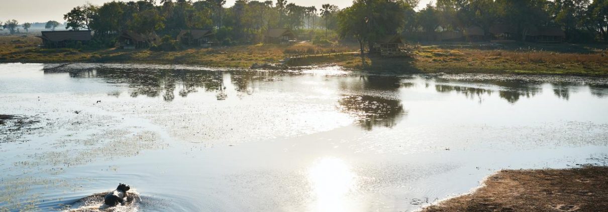 Eagle Island Lodge