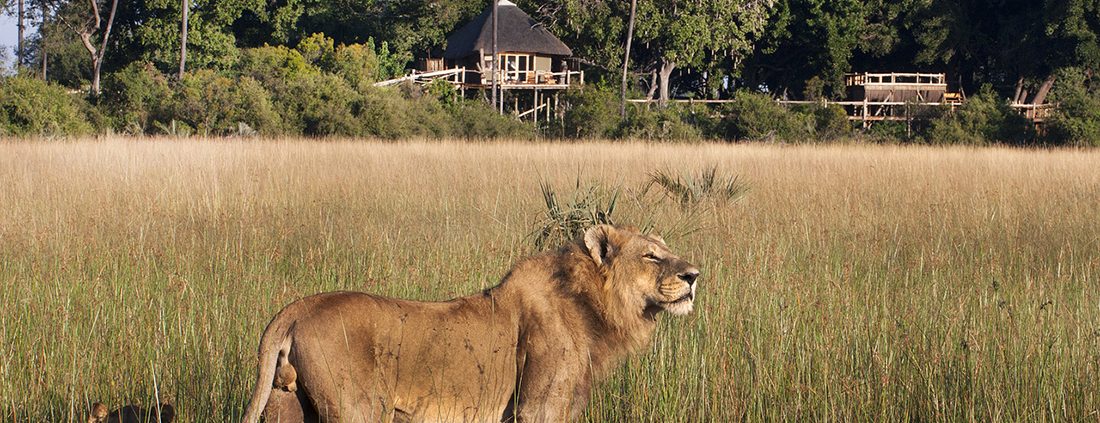 Kwetsani Lodge - Delta del Okavango