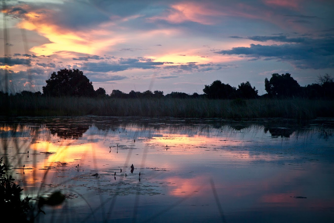 Green Season en Botswana