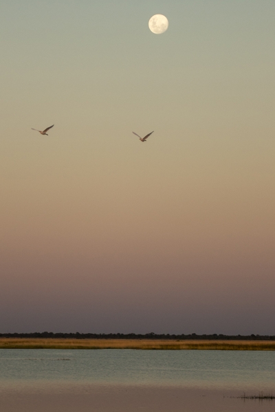 Salar de Sowa - Makgadikgadi Makgadikgadi - Salar de Sowa