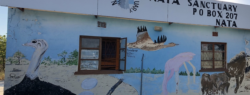 Makgadikgadi - Salar de Sowa Makgadikgadi - Salar de Sowa