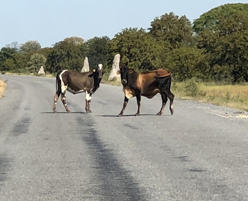 Makgadikgadi - Salar de Sowa Makgadikgadi - Salar de Sowa