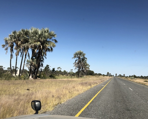 Makgadikgadi - Salar de Sowa Makgadikgadi - Salar de Sowa