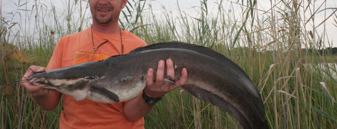 Camp Kwando Camp Kwando