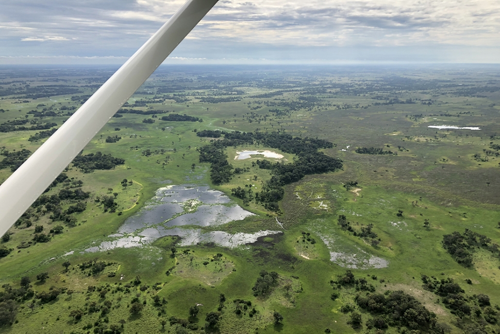 Botswana - Delta del Okavango