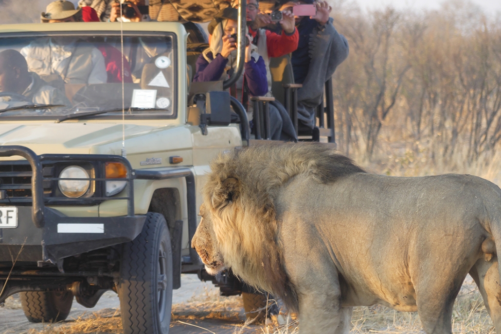 Campamento Lujo Botswana