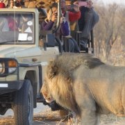 Campamento Lujo Botswana